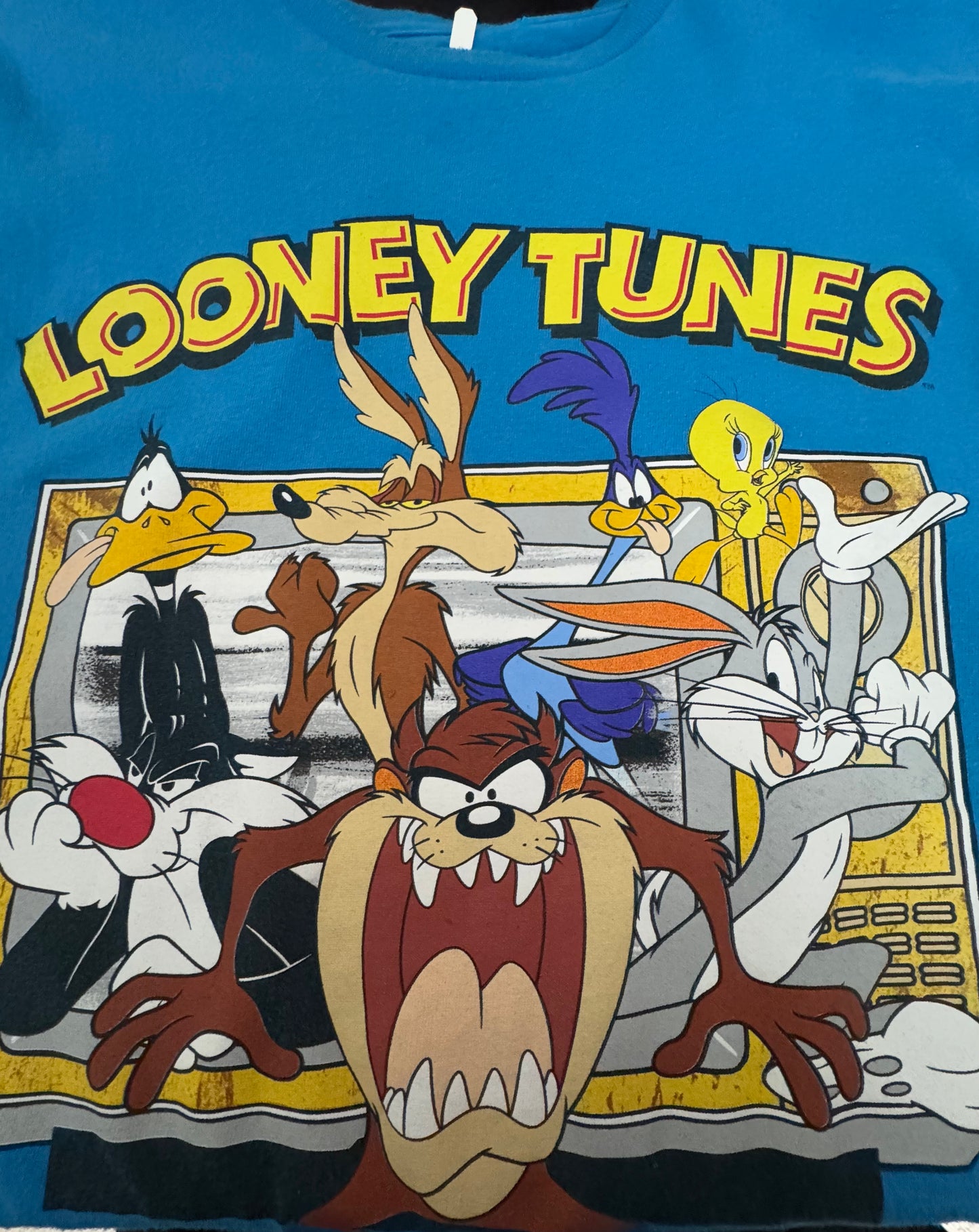 Graphic T-shirt - Looney Tunes- Daffy Duck , Wile E . Coyote, Roadrunner, Tweety, Sylvester, Taz and Bugs bunny- Blue shirt