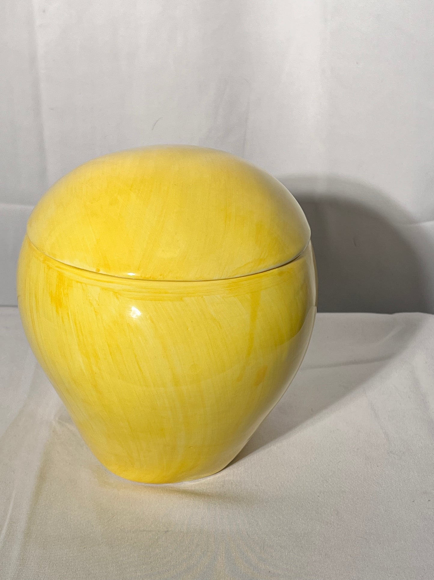 Tweety Bird - 7” Cookie Jar- hand painted- Warner Brothers- Looney Tunes-2000