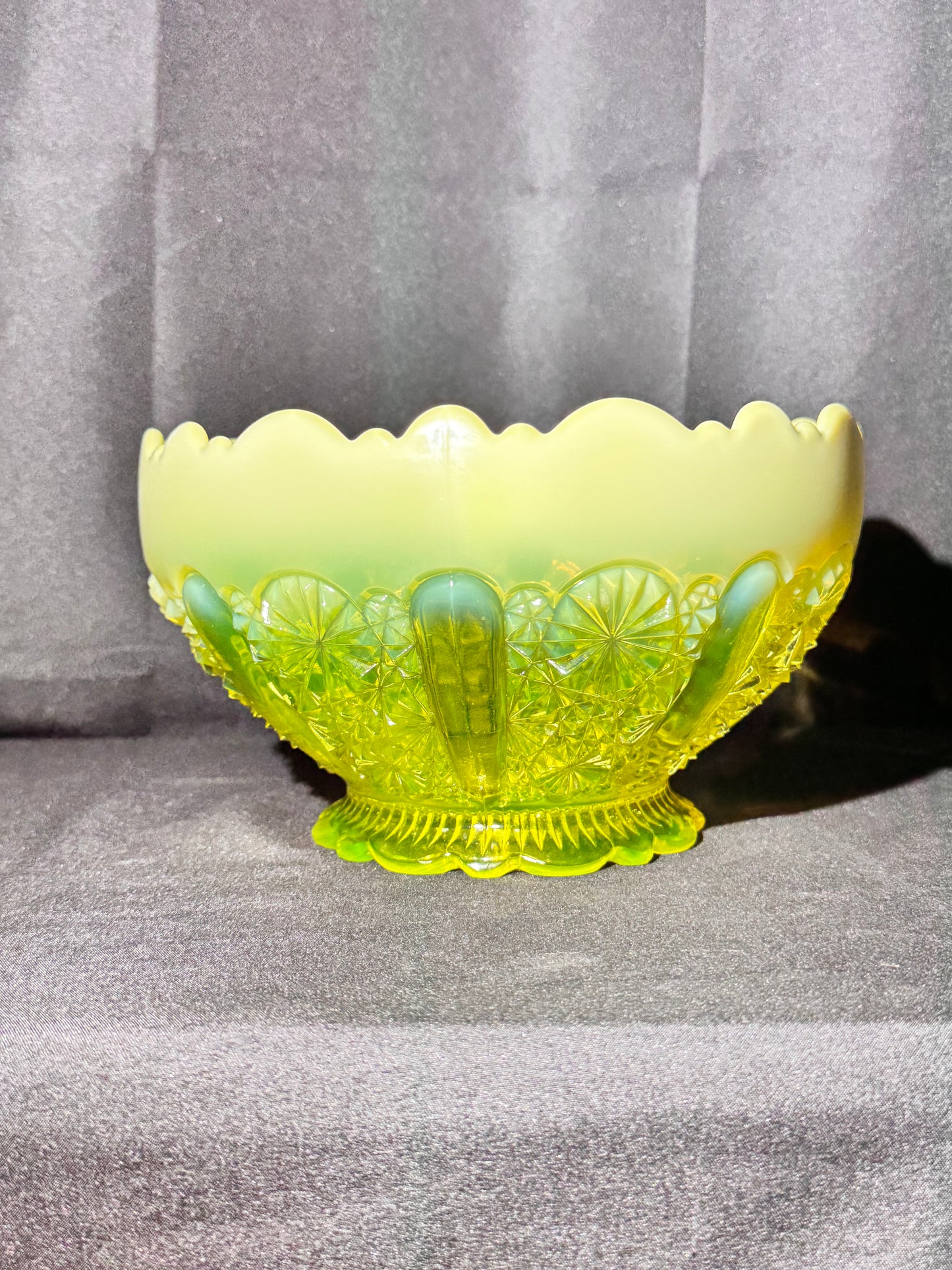 Uranium- Davidson Primrose - Lady Chippendale - Bowl - #176566