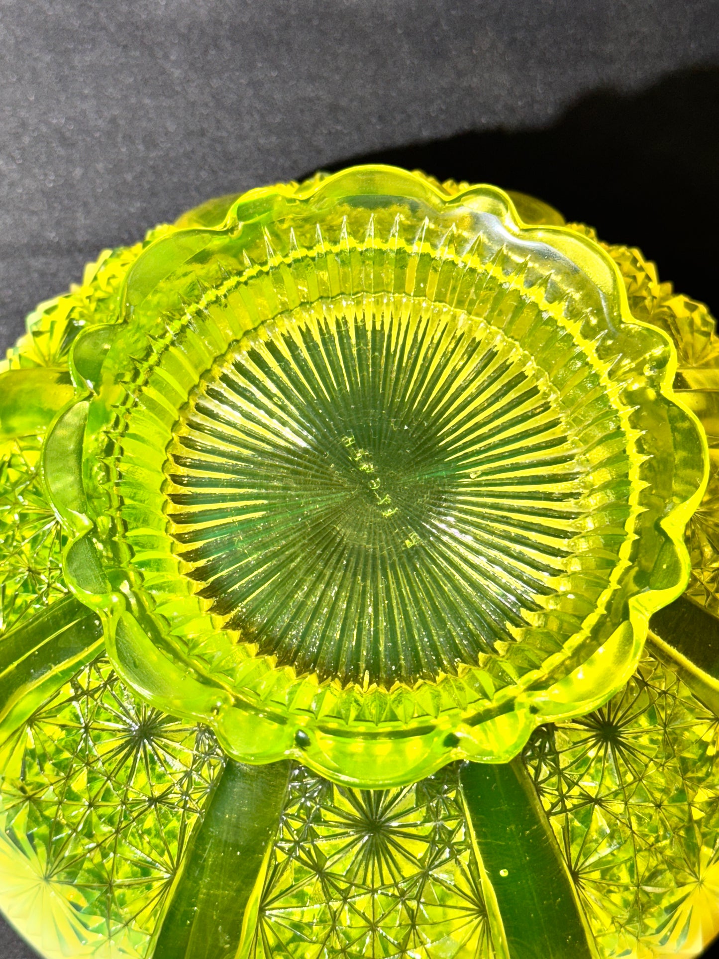 Uranium- Davidson Primrose - Lady Chippendale - Bowl - #176566