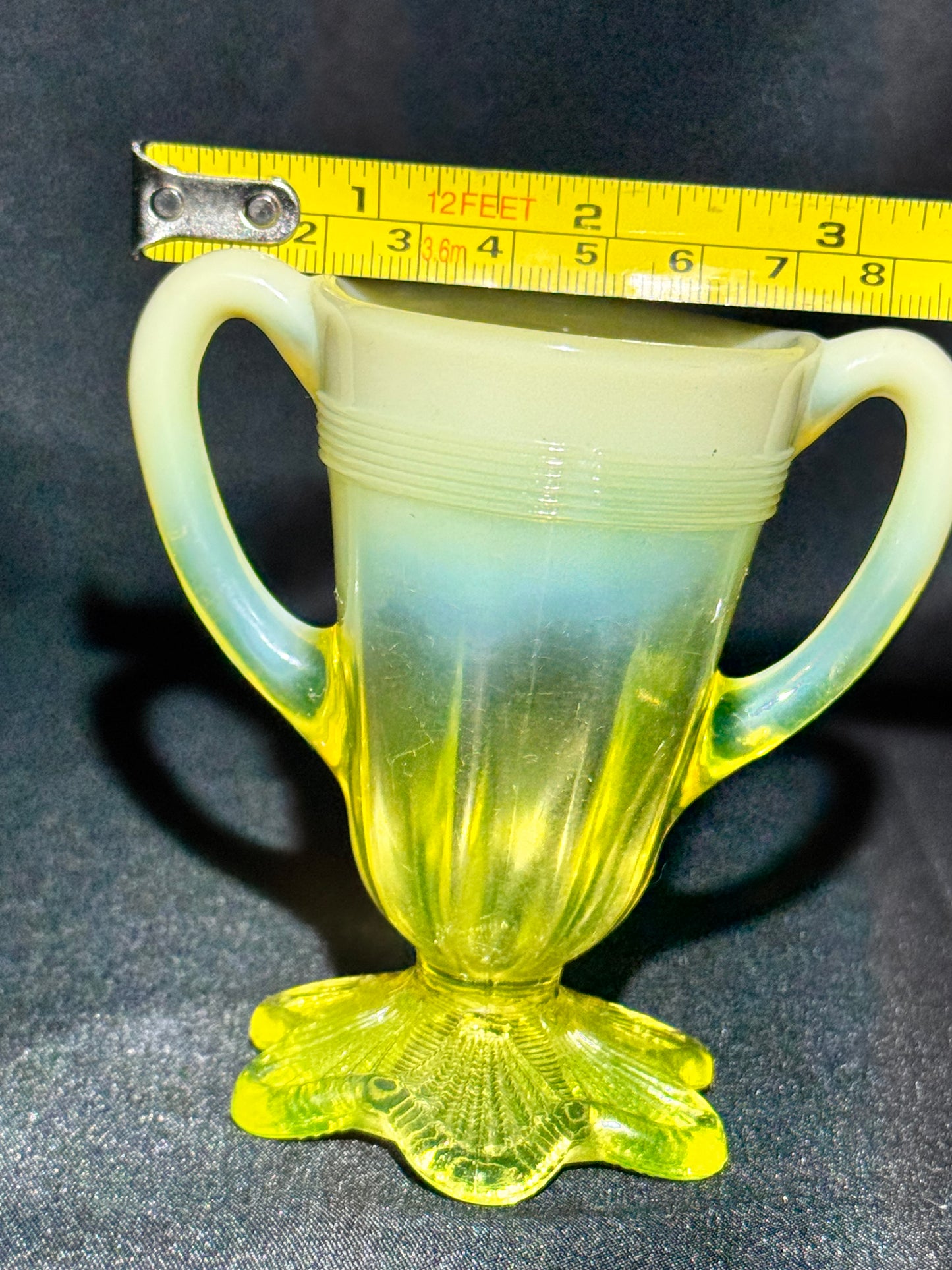 Uranium-Davidson’s Lady Caroline Double-Handled Trophy Vase (1891)