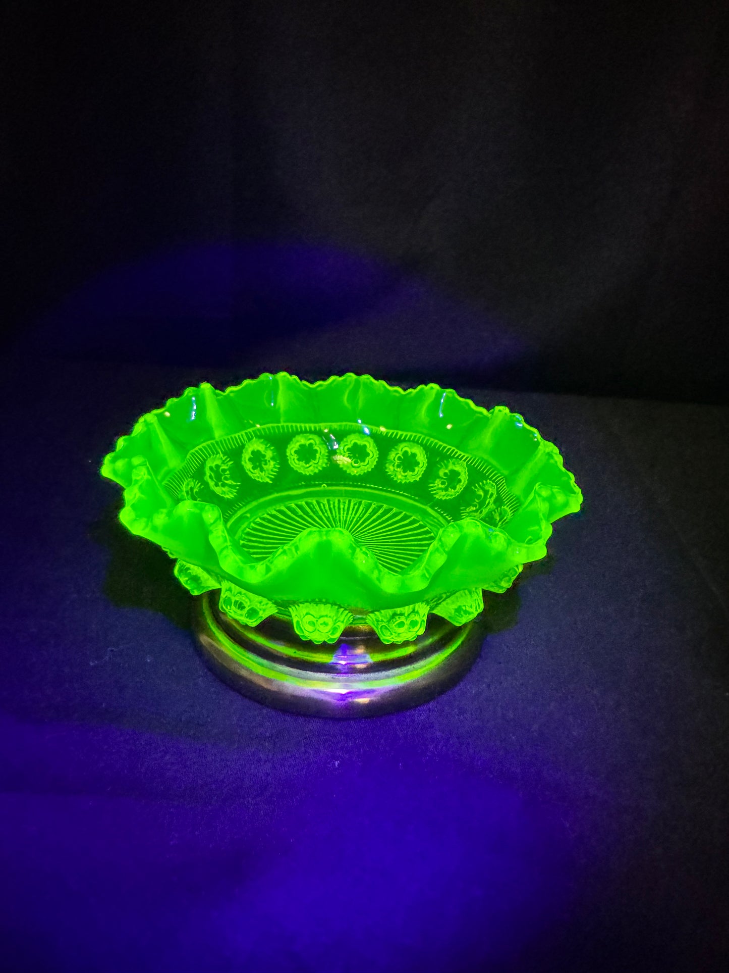 Uranium Davidson Blackberry Prunt/dish #R533040