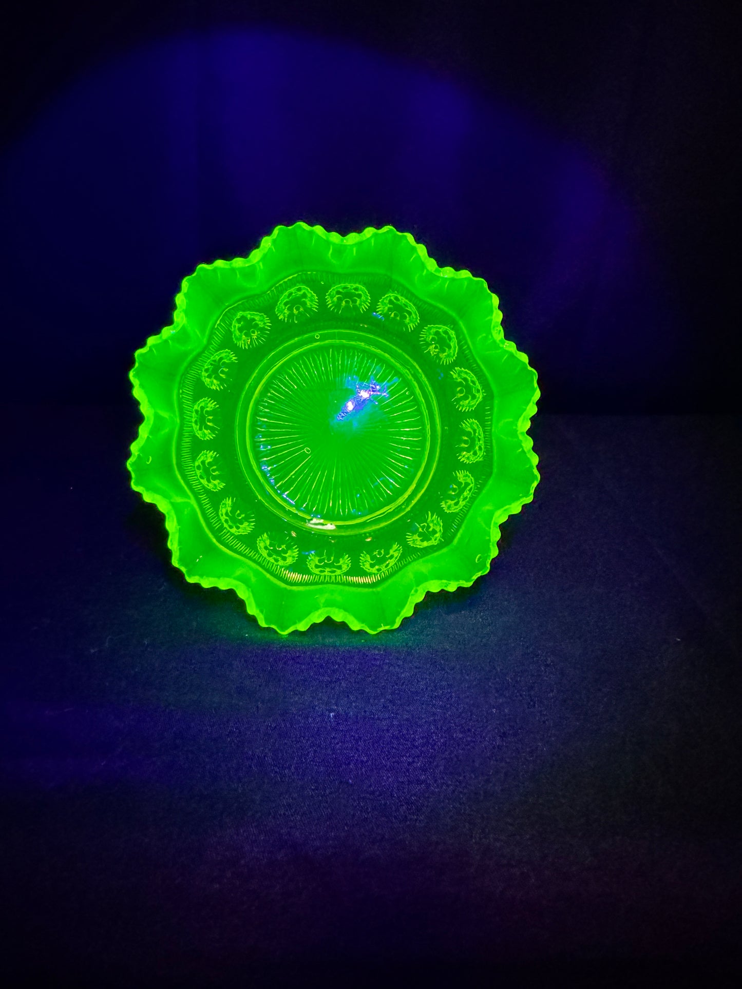 Uranium Davidson Blackberry Prunt/dish #R533040