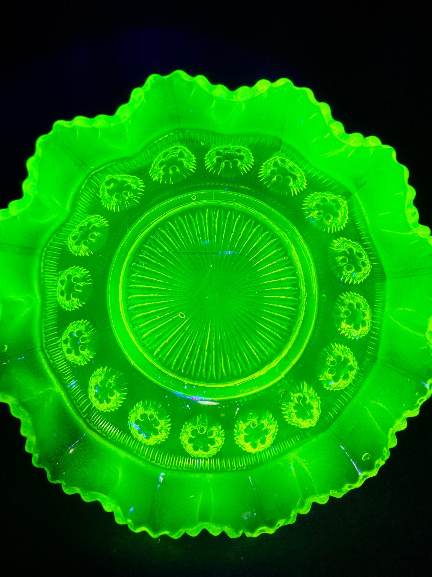 Uranium Davidson Blackberry Prunt/dish #R533040