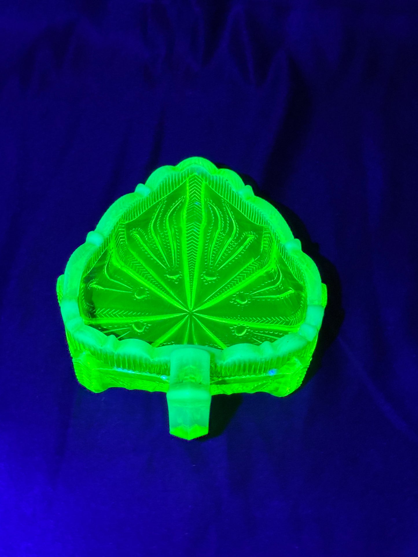 Uranium- Fenton -Cactus- relish dish - topaz opalescent - early 20th century-cactus leaf shape dish