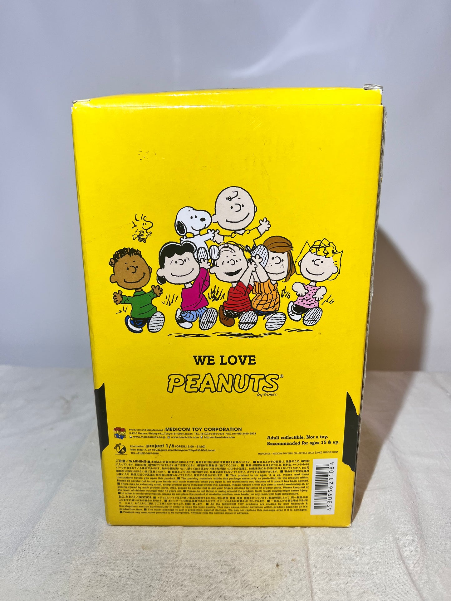 Charlie Brown 8” Bobble Head- Peanuts - Snoopy -Vinyl Collectible Dolls