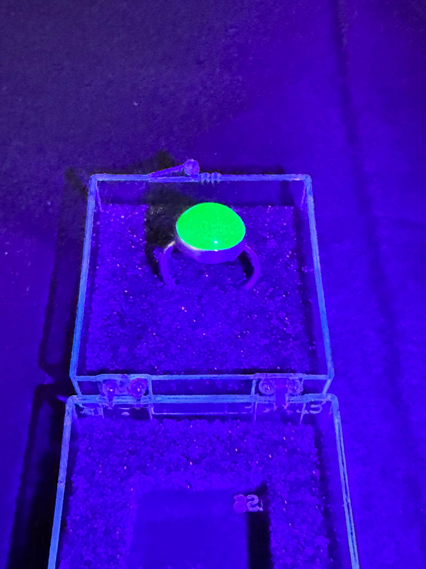 Uranium Glass Ring – Round Gemstone in Solid .925 Silver | Size 9