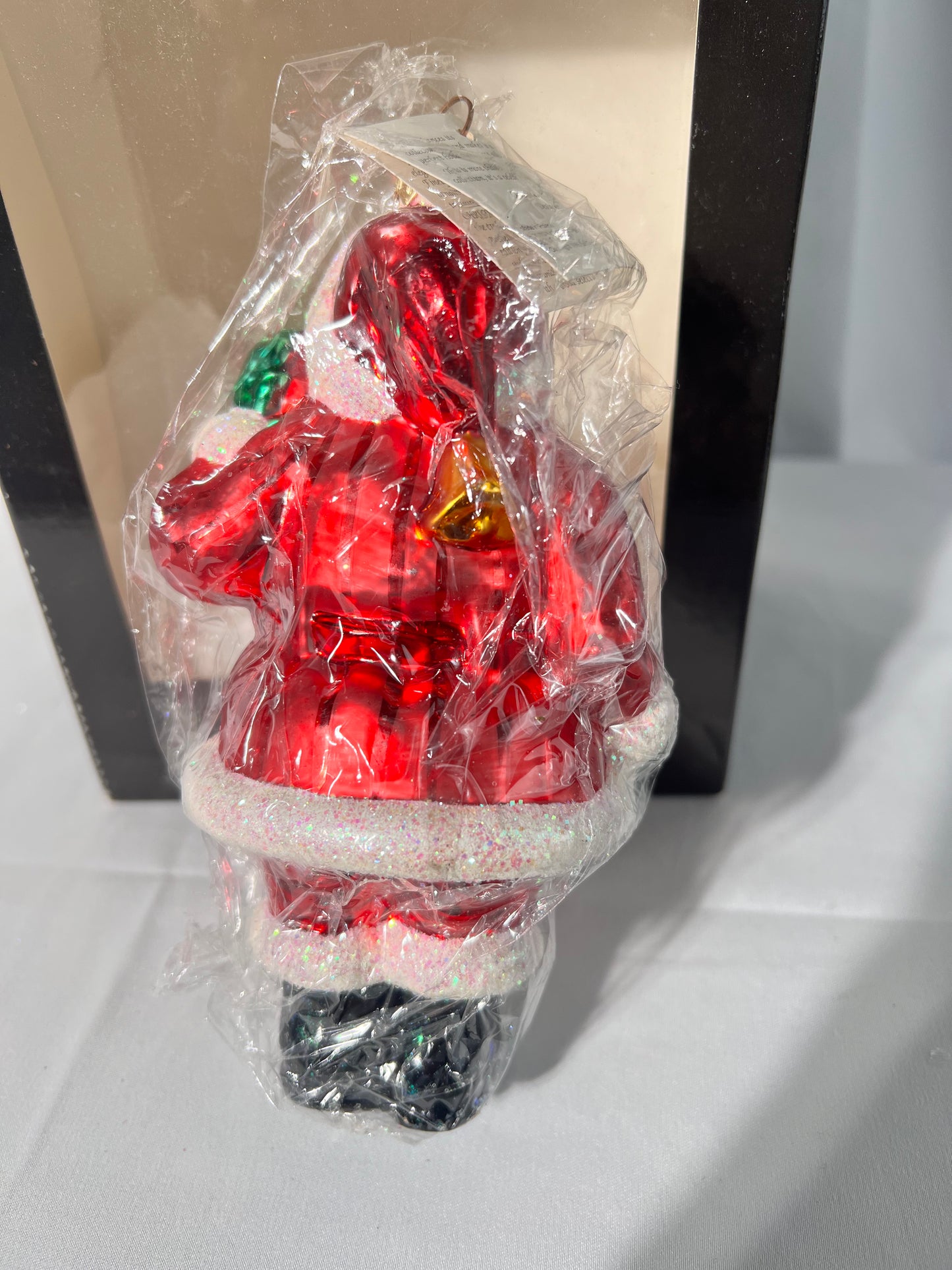 Radko - Bird Buddy - Santa - Christmas Ornament