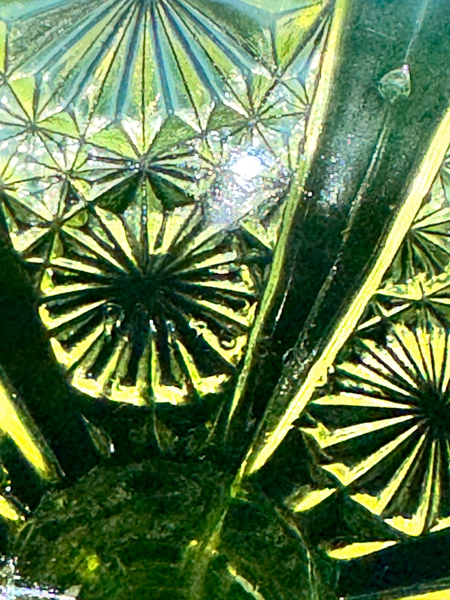 Uranium Glass Davidson Primrose Pearline Footed Compote – Lady Chippendale Collection