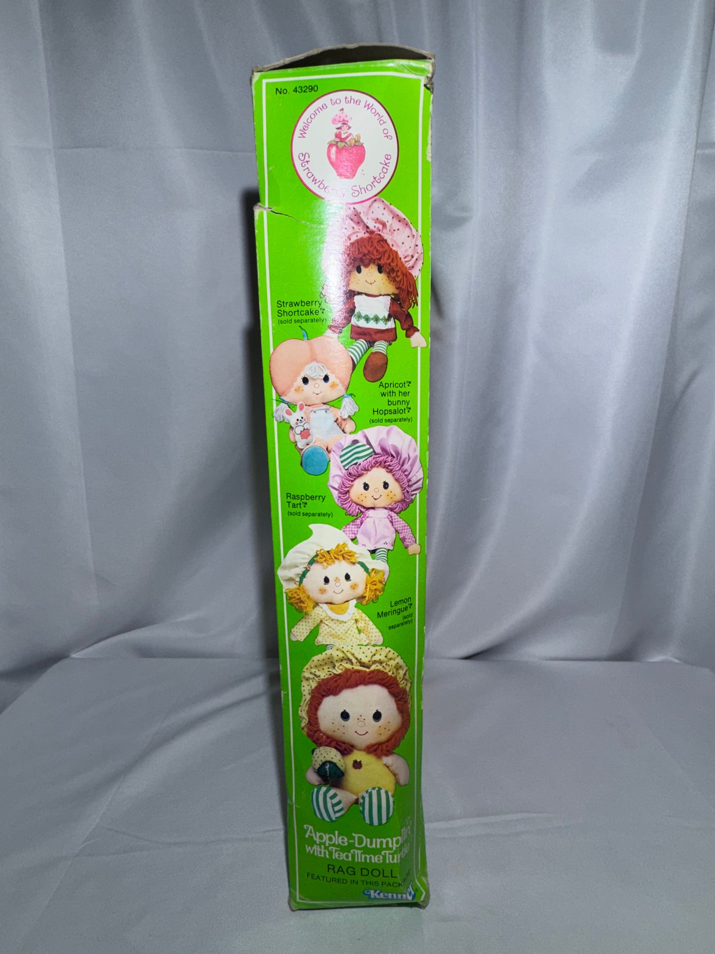 Vintage 1980 Kenner Strawberry Shortcake Apple Dumplin’ Doll w/ Turtle Boxed