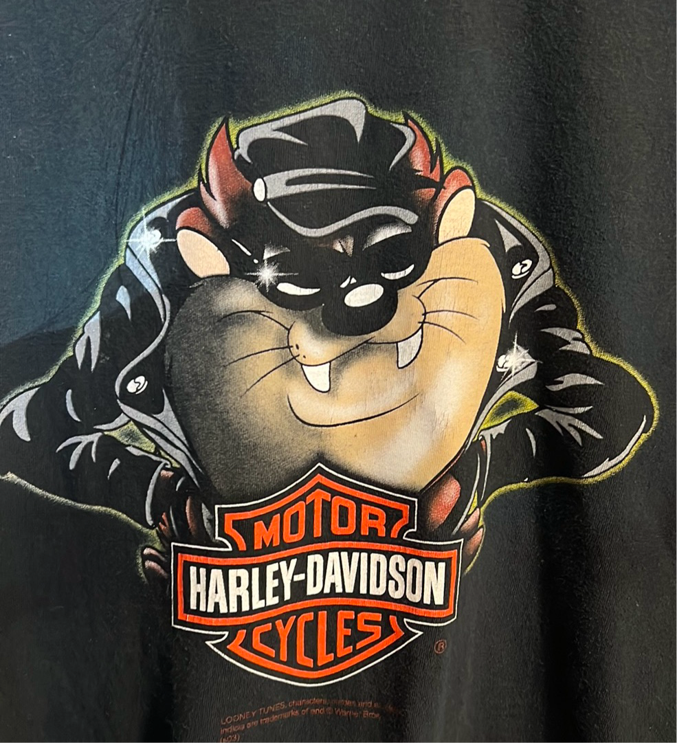 Leather Taz Harley Davidson T-shirt