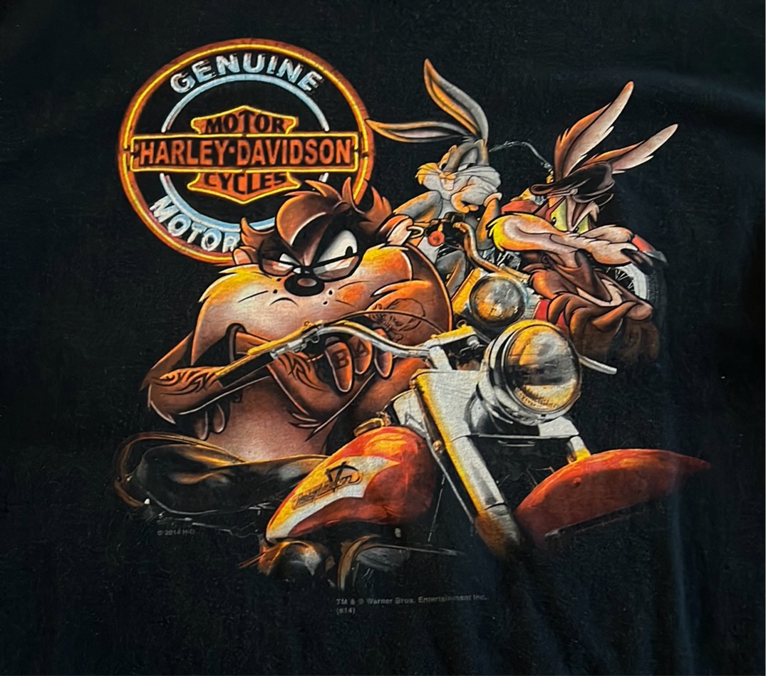 Genuine Harley Davidson T-shirt