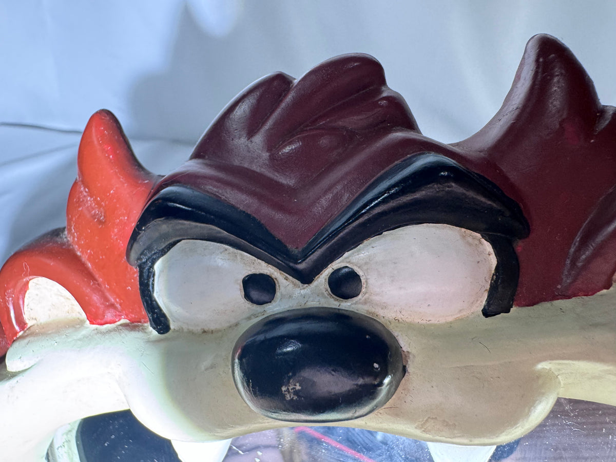 Vintage Looney Tunes Tasmanian Devil Taz Molded Wall Mirror – Taz Collectible