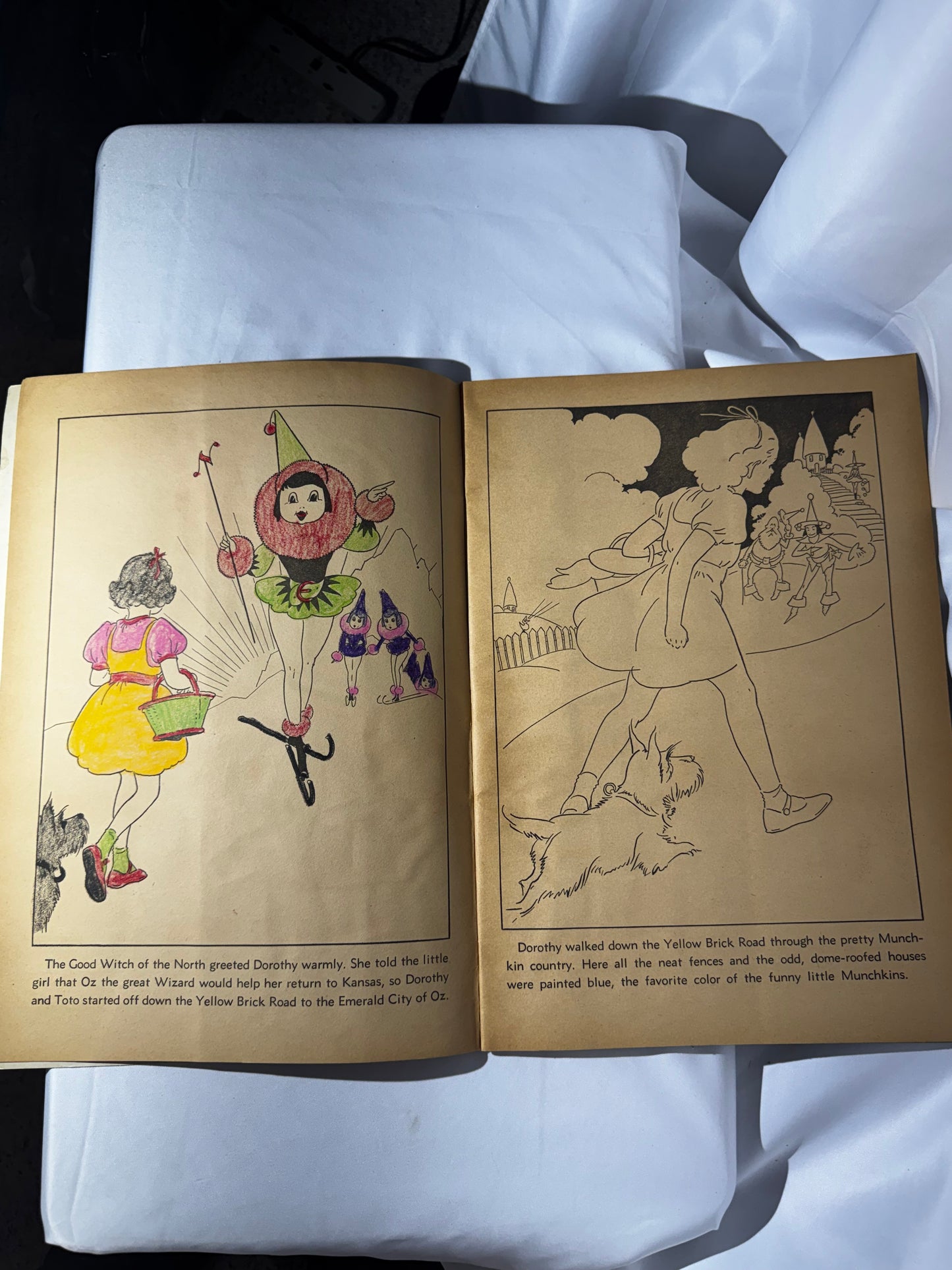 Vintage 1939 The Wizard of Oz Paint Book Whitman H.E. Vallely 40 Pages Scarecrow Tin Man