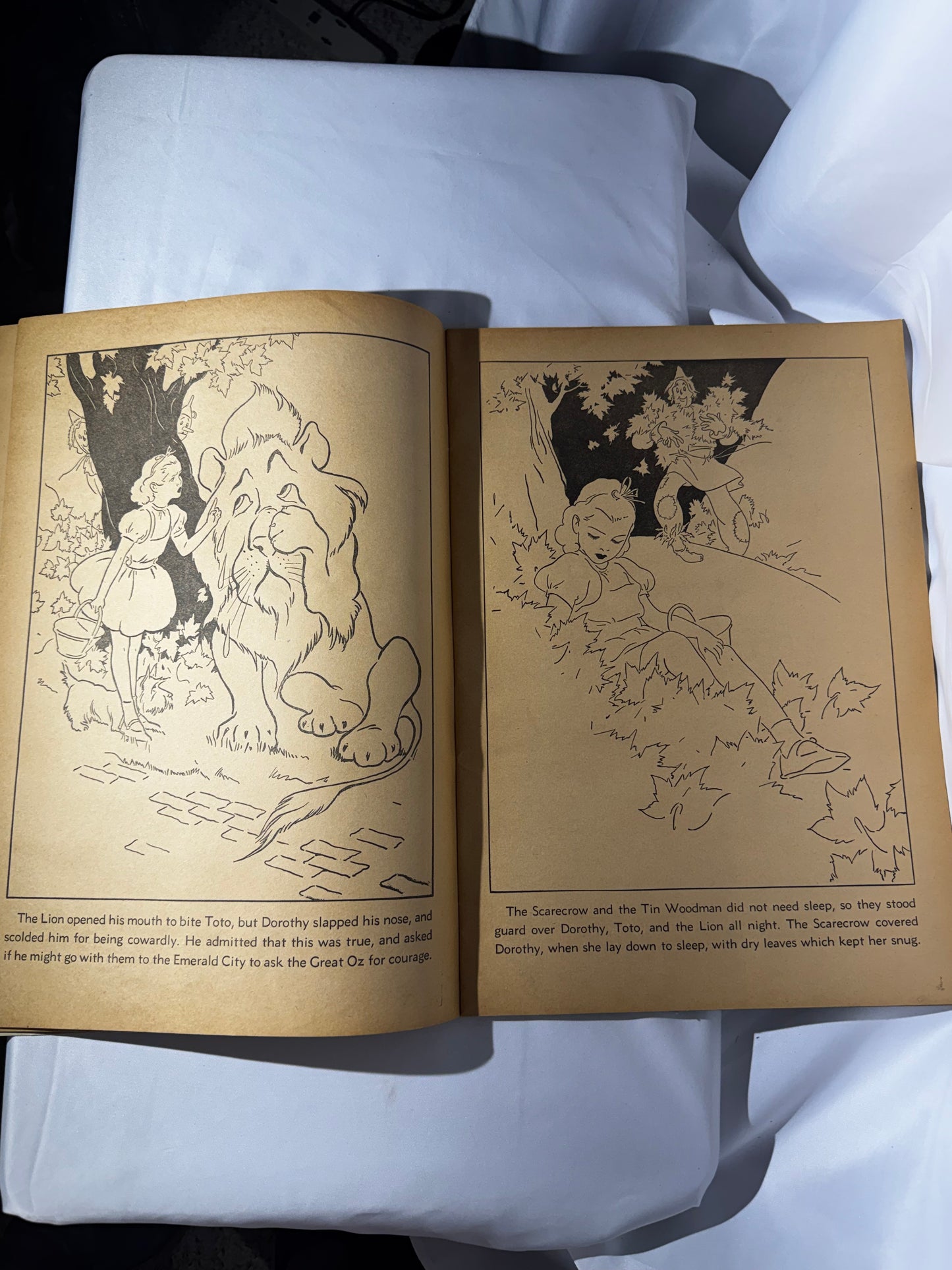 Vintage 1939 The Wizard of Oz Paint Book Whitman H.E. Vallely 40 Pages Scarecrow Tin Man