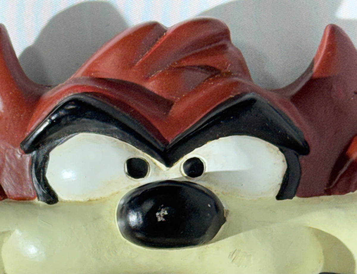 Vintage Looney Tunes Tasmanian Devil Taz Molded Wall Mirror – Taz Collectible