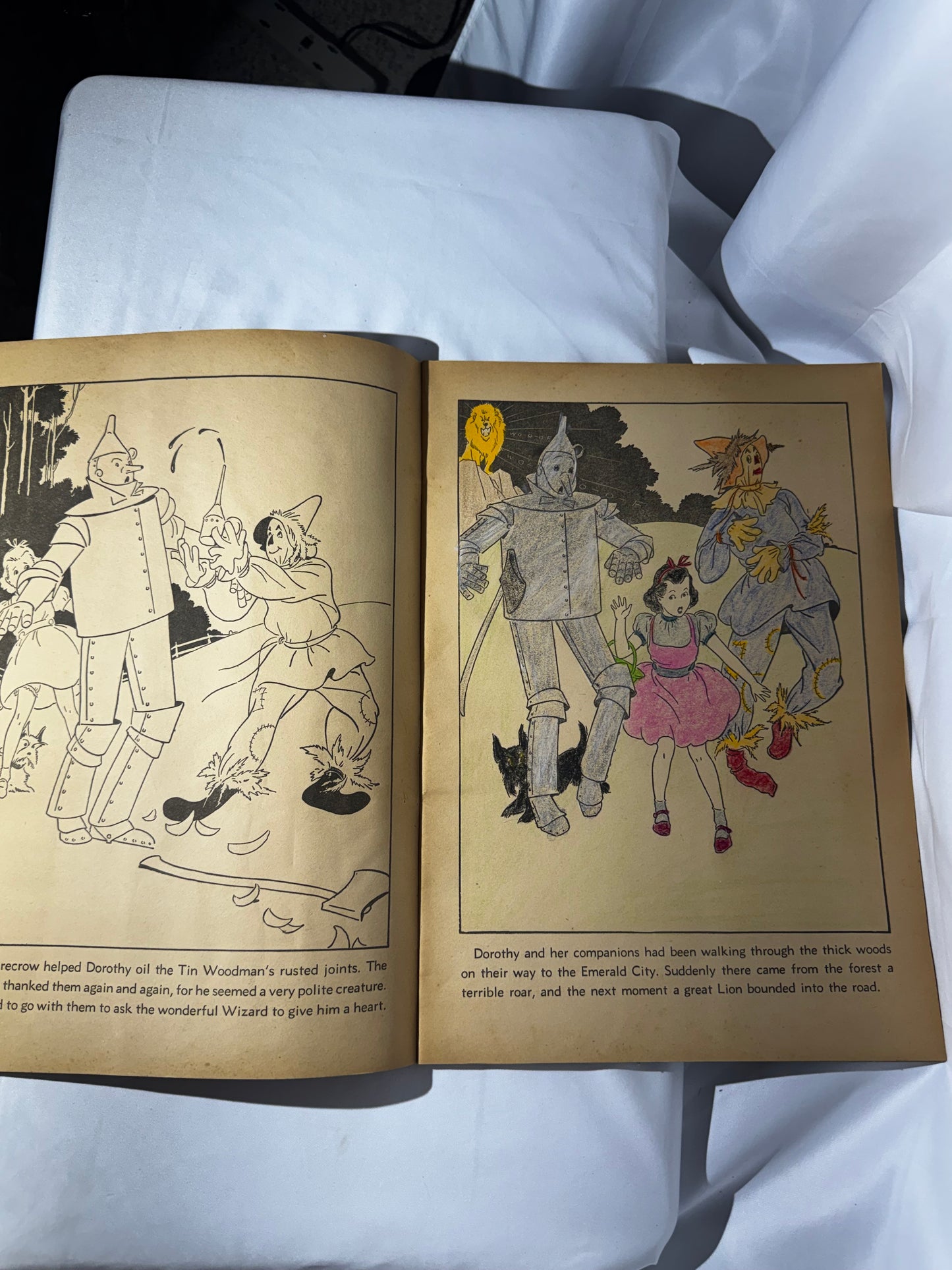 Vintage 1939 The Wizard of Oz Paint Book Whitman H.E. Vallely 40 Pages Scarecrow Tin Man