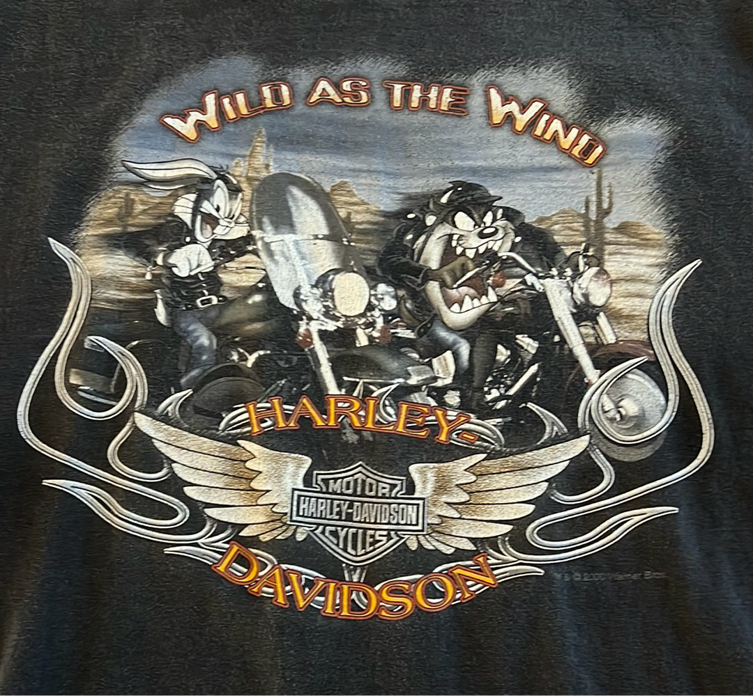 Looney Tunes “wild as the wind” Harley Davidson T-shirt