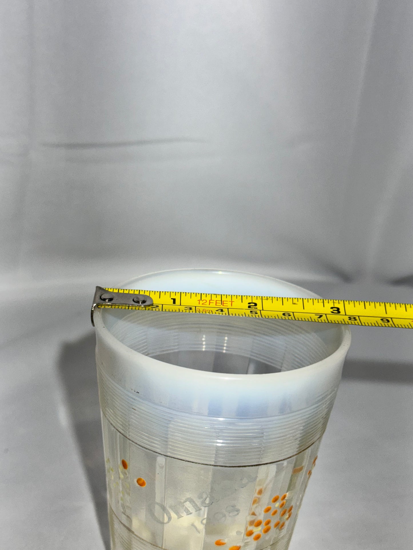 Antique 1898 Omaha Souvenir Tumbler – Hand Painted Flowers – Northwood Rivet Edge