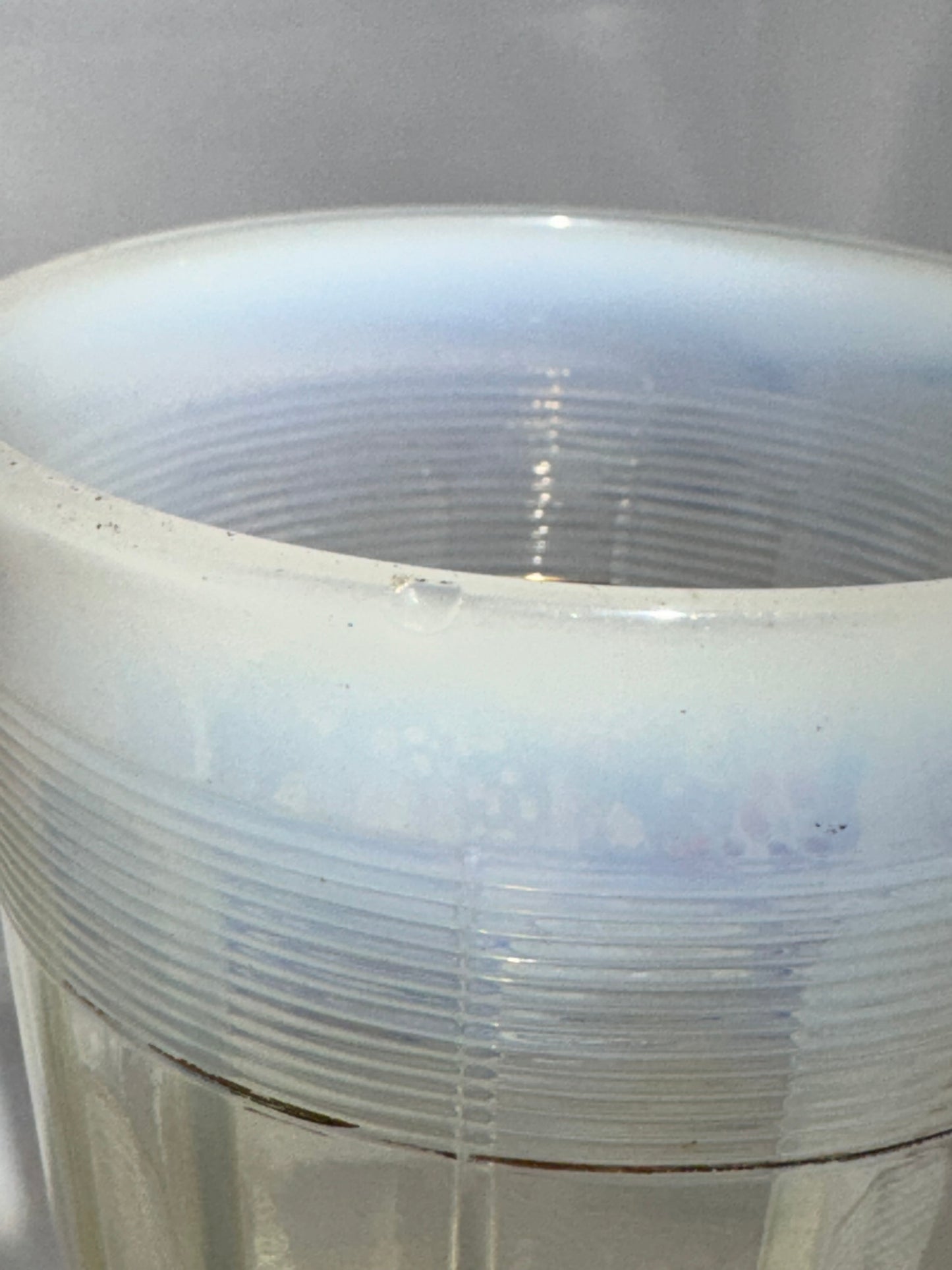 Antique 1898 Omaha Souvenir Tumbler – Hand Painted Flowers – Northwood Rivet Edge