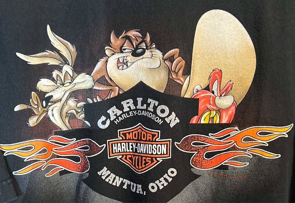 Leather Taz Harley Davidson T-shirt