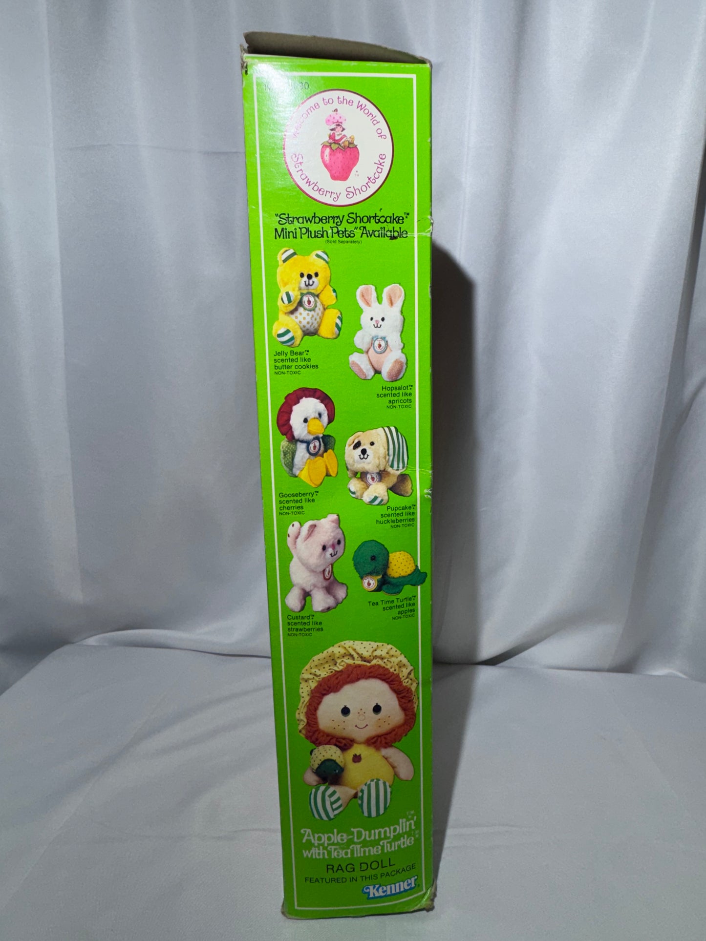 Vintage 1980 Kenner Strawberry Shortcake Apple Dumplin’ Doll w/ Turtle Boxed
