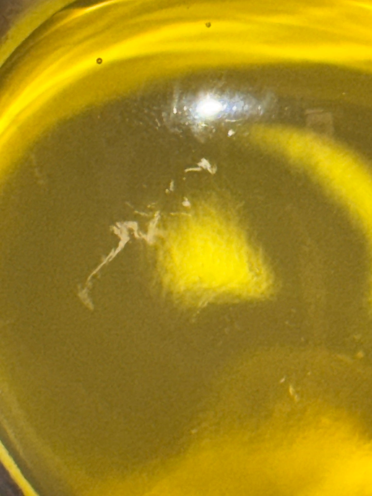 Vintage - Glass 11.5” Trojan Horse  - Amber