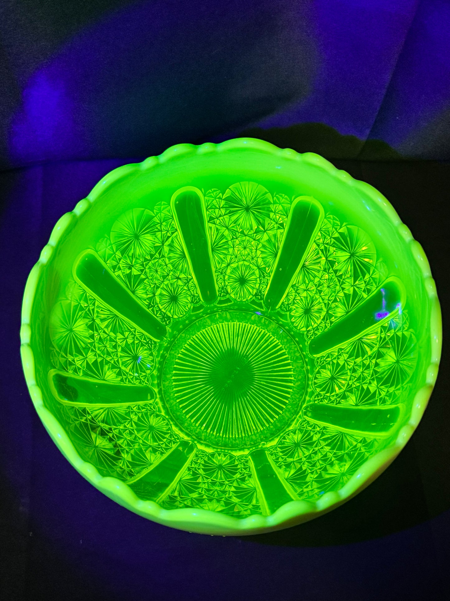 Uranium- Davidson Primrose - Lady Chippendale - Bowl - #176566