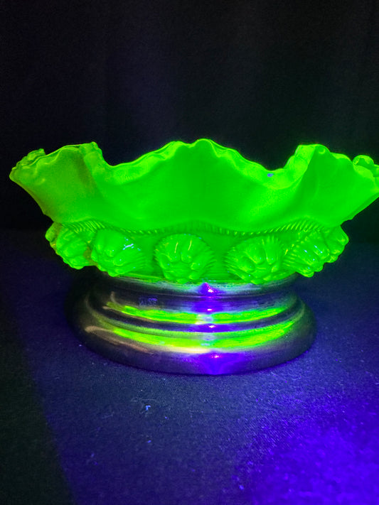 Uranium Davidson Blackberry Prunt/dish #R533040